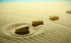 Дневник второгодника. Время собирать камни.